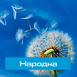 Народна